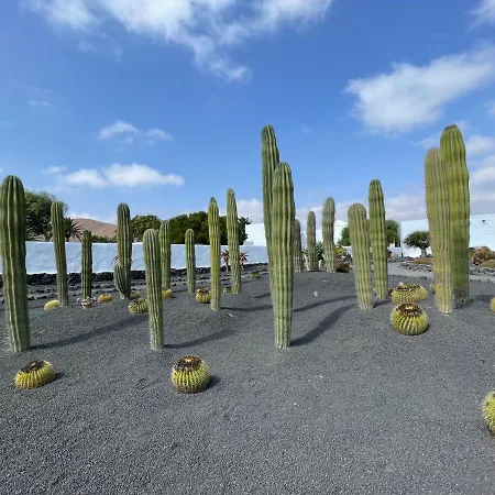 Izaro Atico De Lujo Cerca De Playa Dorada *